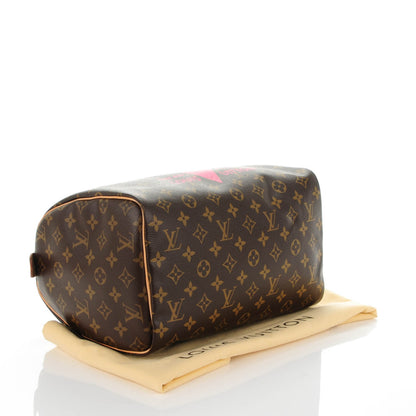 Louis Vuitton Monogram Speedy 30 V Grenade 4 of 7
