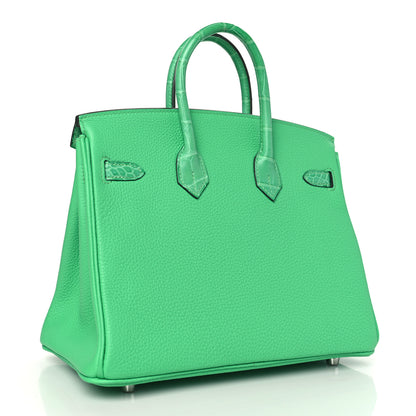 Hermes Togo Matte Alligator Birkin Touch 25 Vert Comics 3 of 10