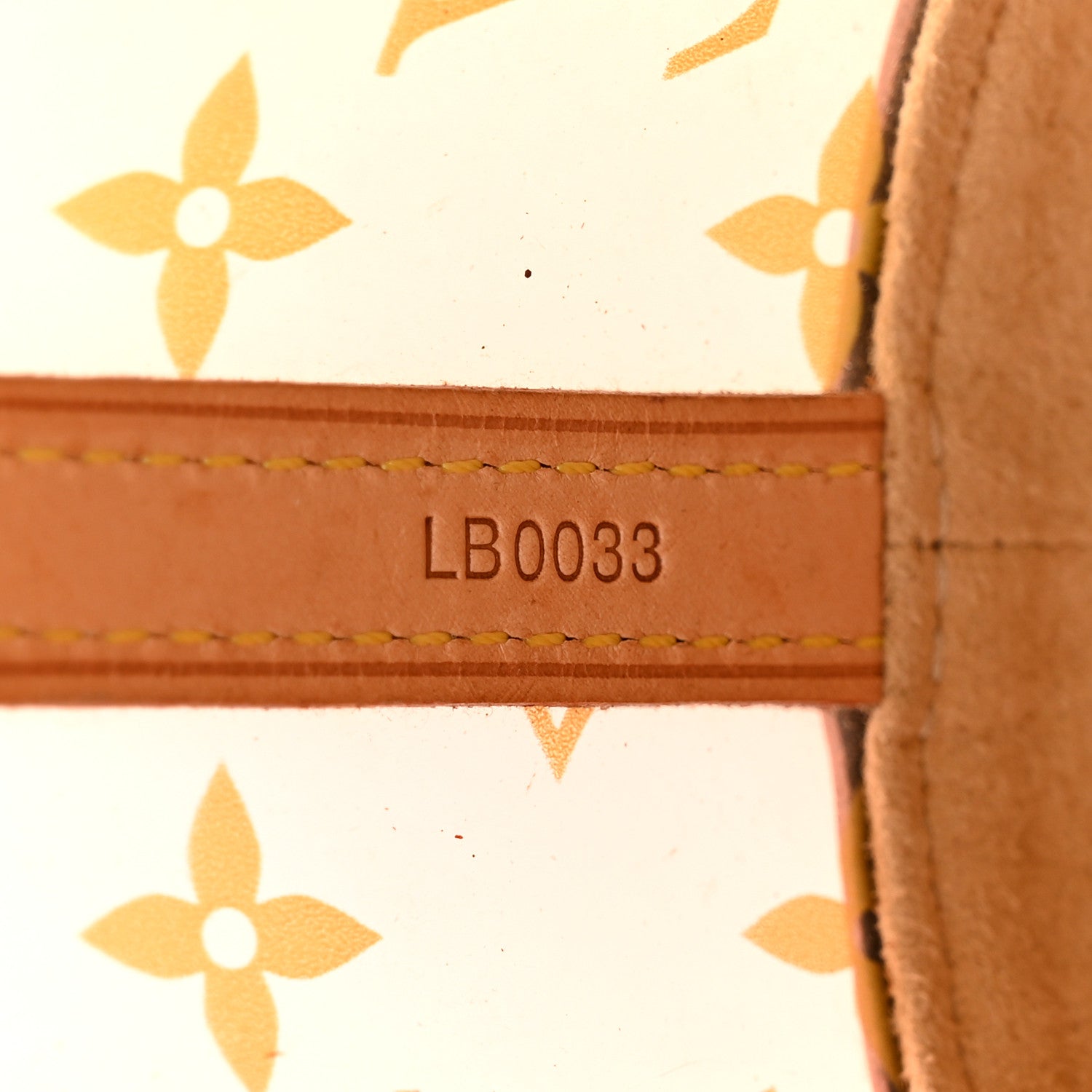 Louis Vuitton Vinyl Cabas Ambre PM 8 of 16