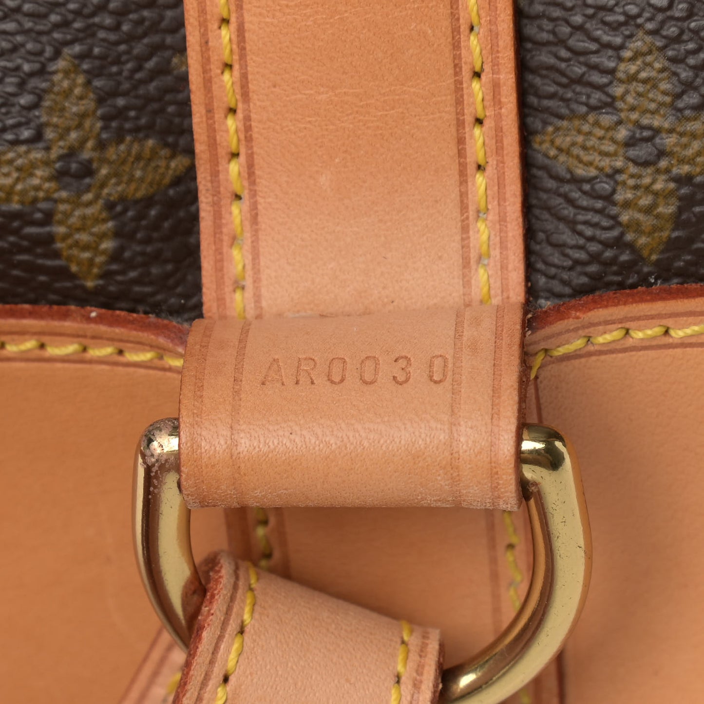 Monogram Randonnee PM