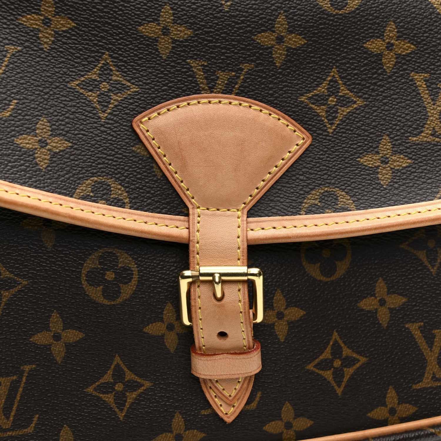 Louis Vuitton Monogram Sologne 12 of 17