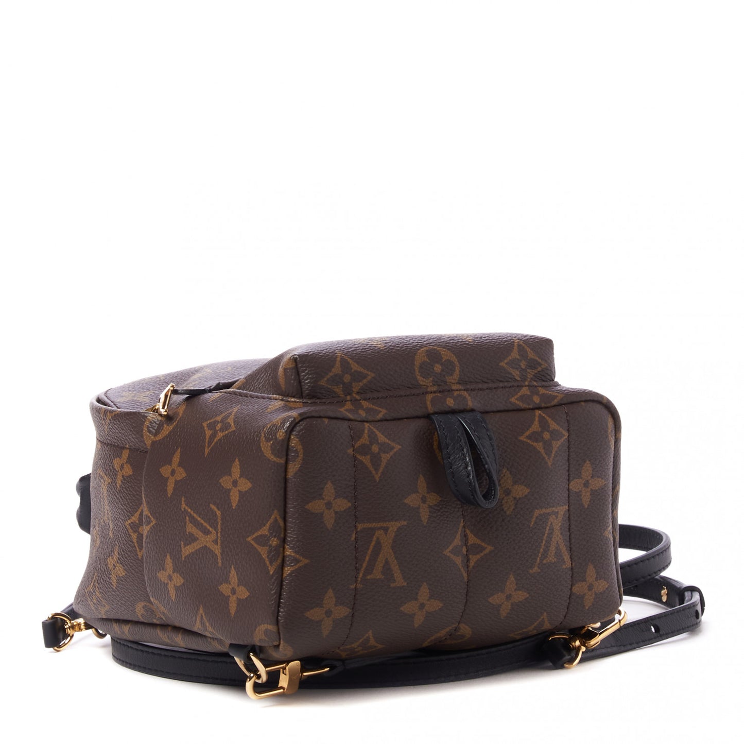 Monogram Palm Springs Backpack Mini