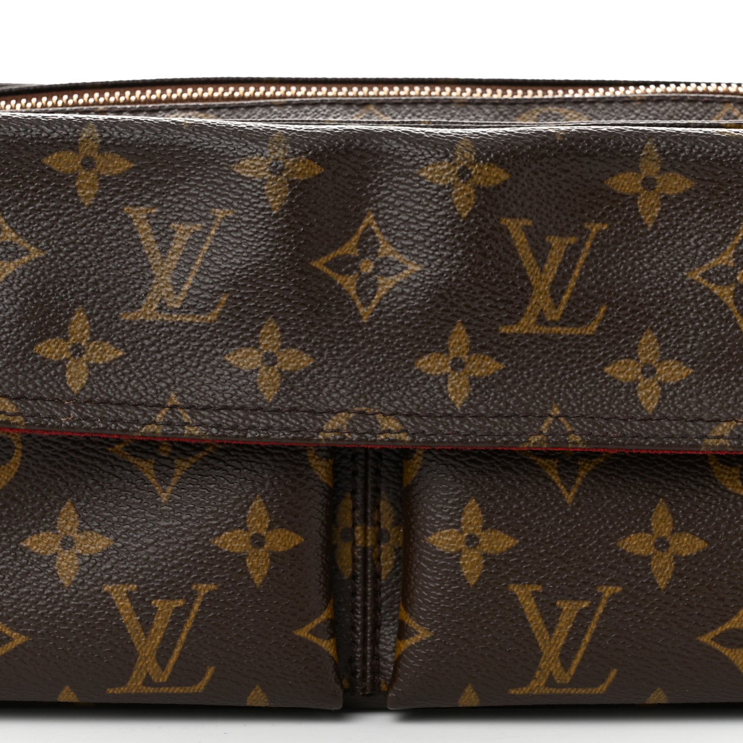 Louis Vuitton Monogram Viva-Cite MM 7 of 15