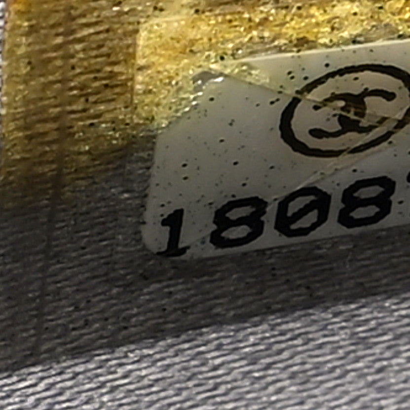 Chanel Lambskin Camellia Embossed Wallet on Chain WOC 7 of 10