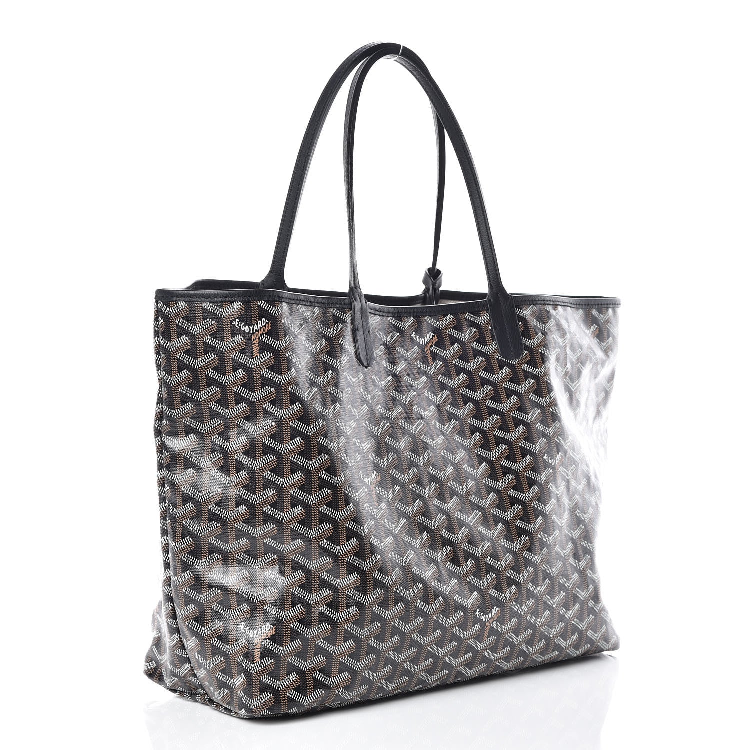 Goyard Goyardine Saint Louis PM Black 4 of 11