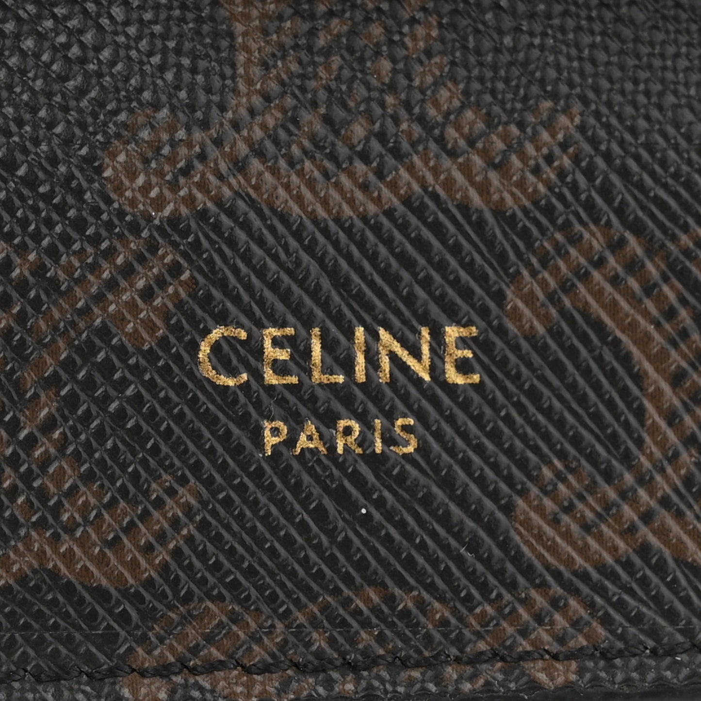 Triomphe Canvas Lambskin Wallet On Strap Tan