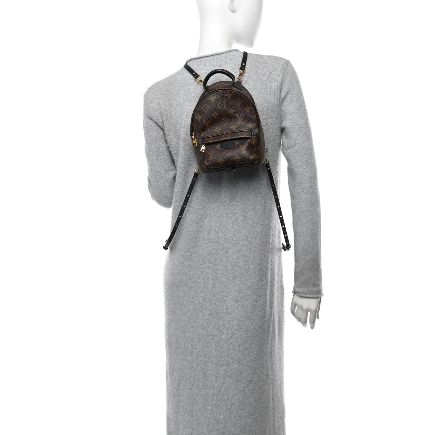 Monogram Palm Springs Backpack Mini