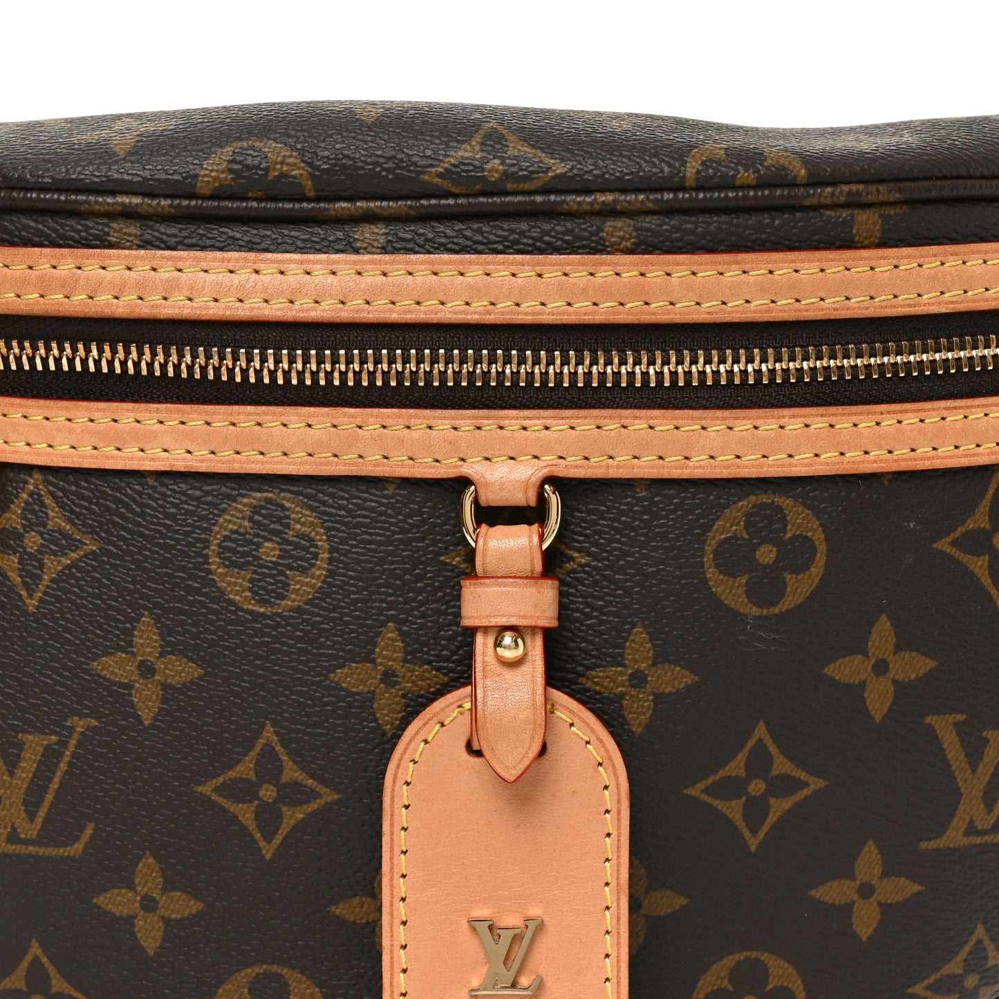 Monogram High Rise Bumbag