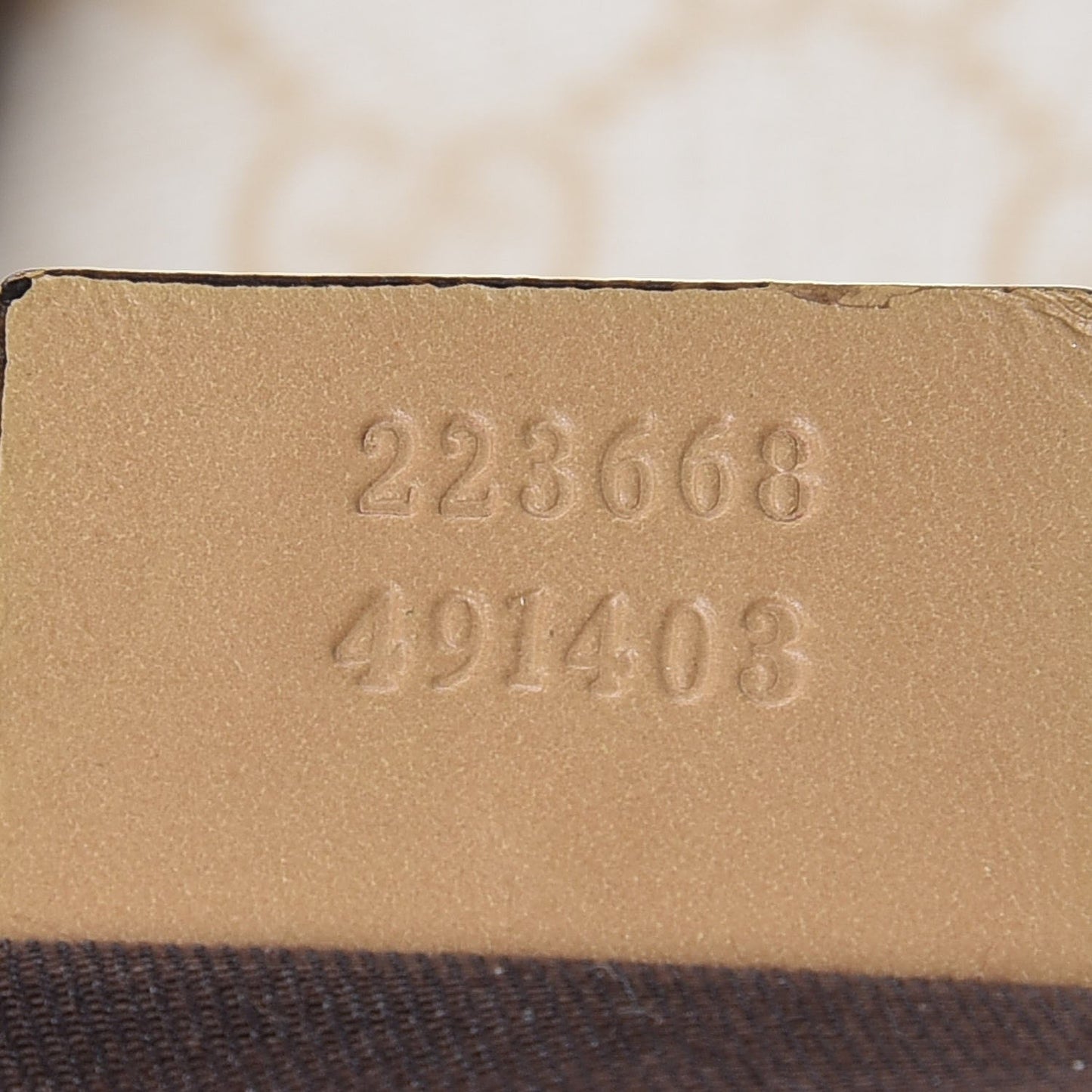 GG Plus Monogram Joy Vertical Tote Beige