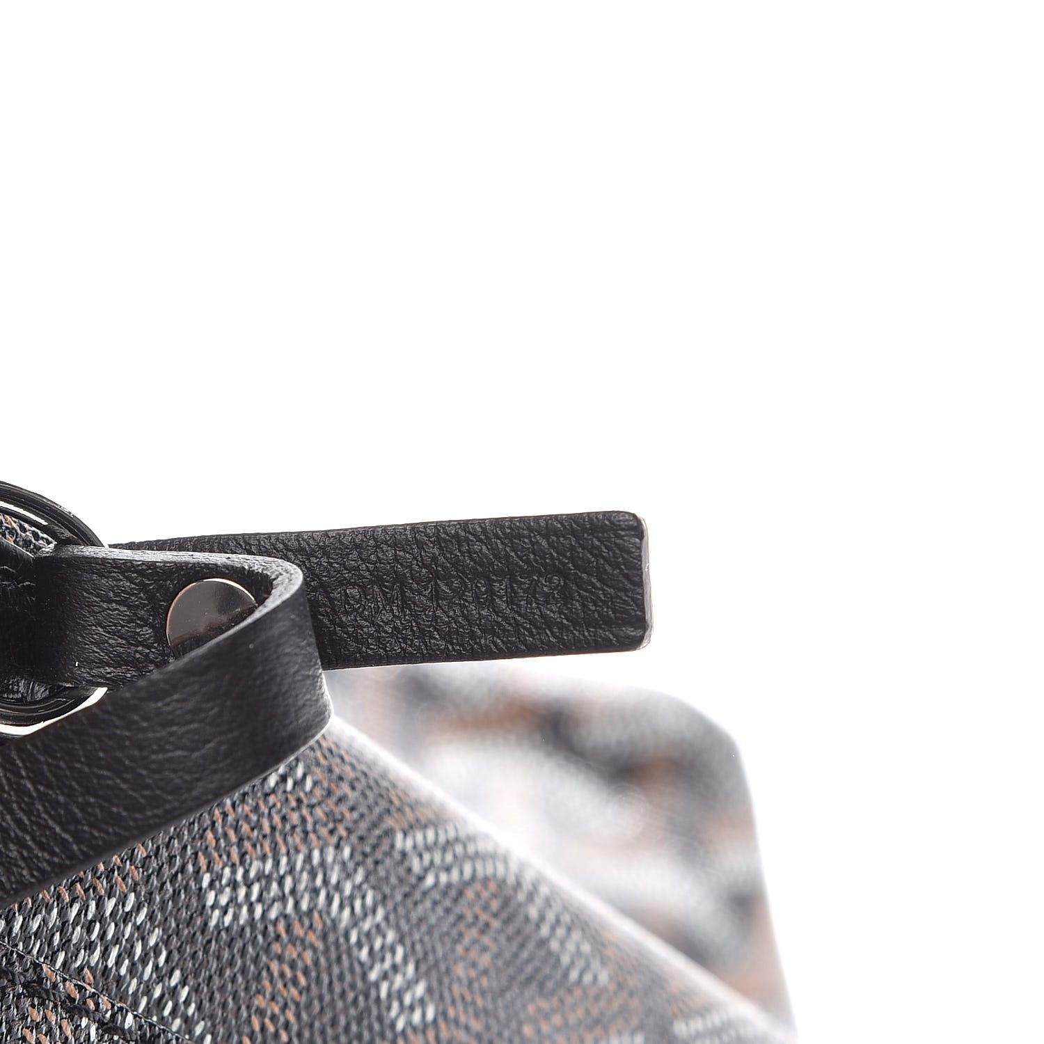 Goyard Goyardine Saint Louis PM Black 9 of 9