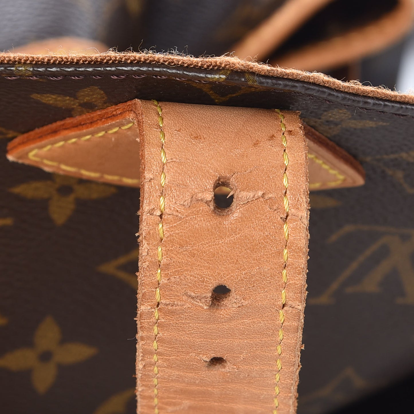 Monogram Montsouris GM Backpack