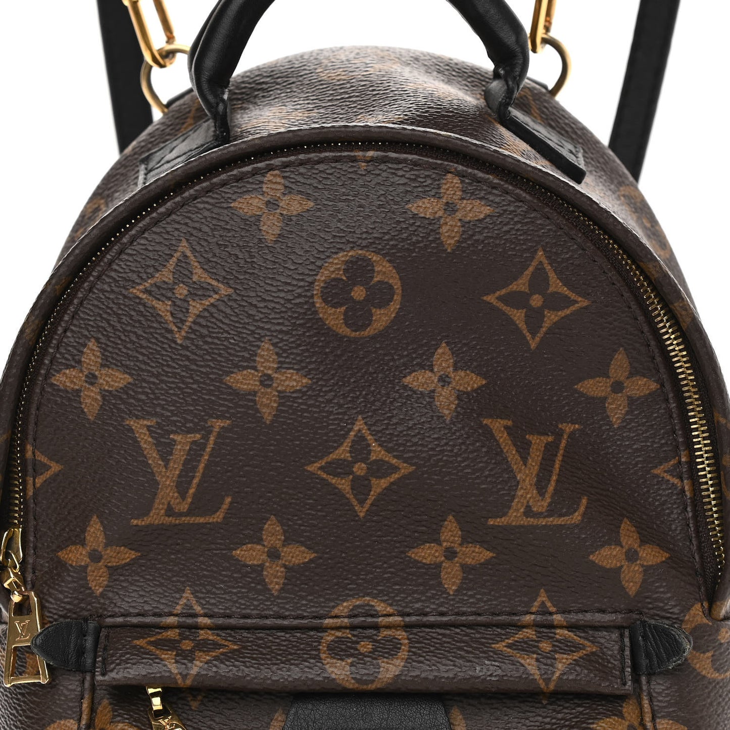 Monogram Palm Springs Backpack Mini