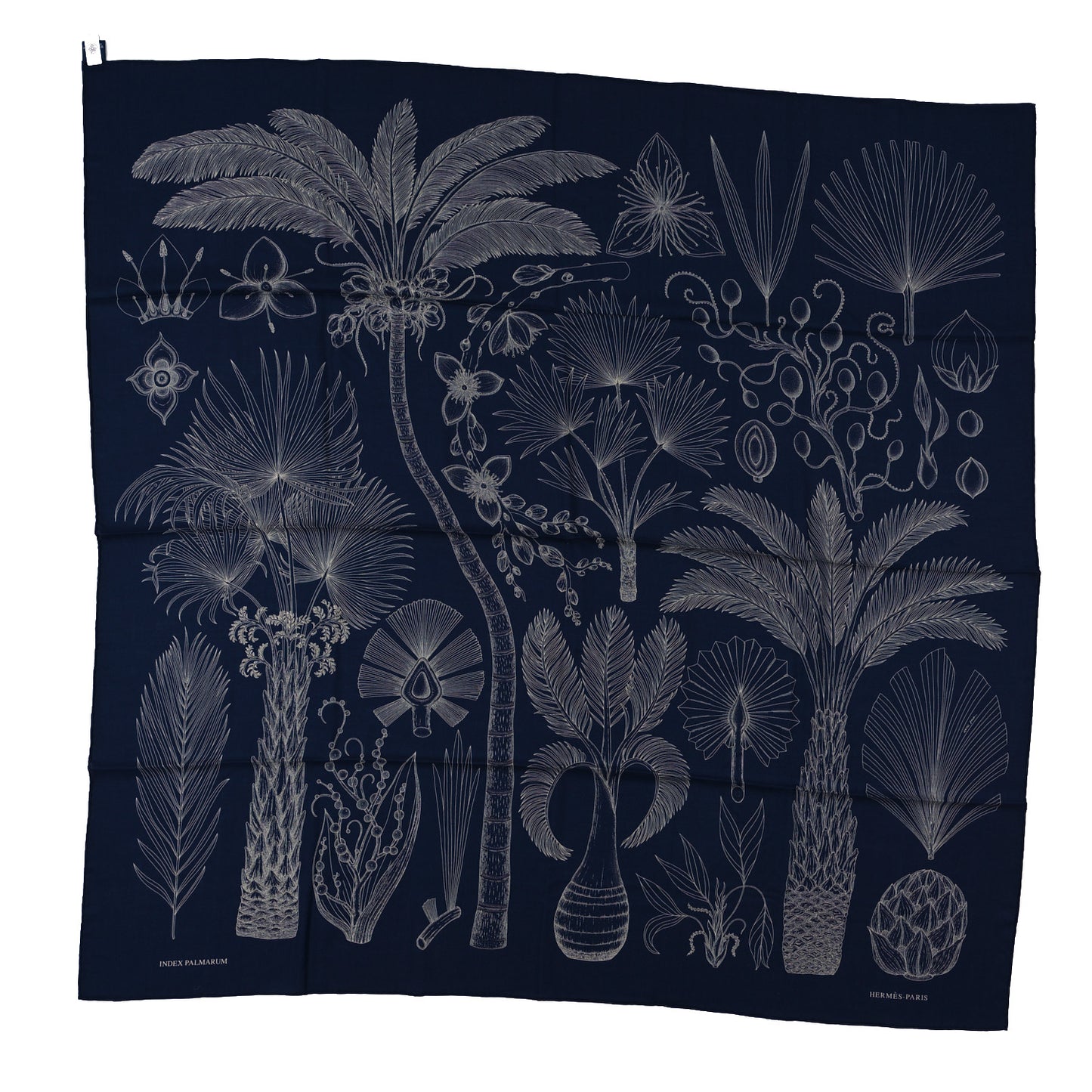 Cashmere Silk Index Palmarum Finesse Shawl 140 Marine White