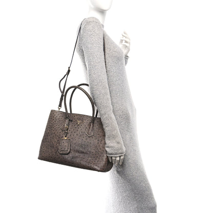 Prada Ostrich Double Bag Grey 2 of 9