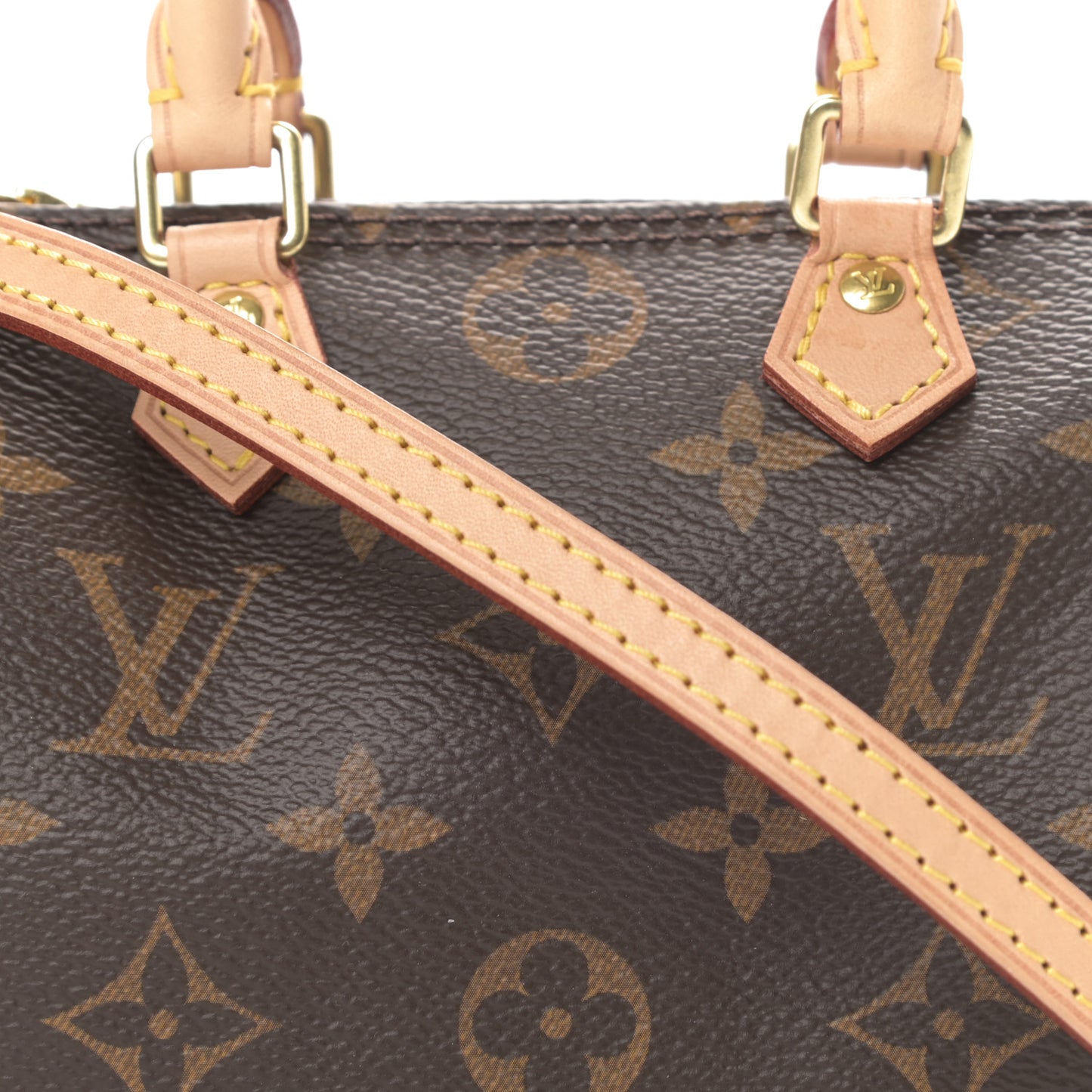 Monogram Nano Speedy