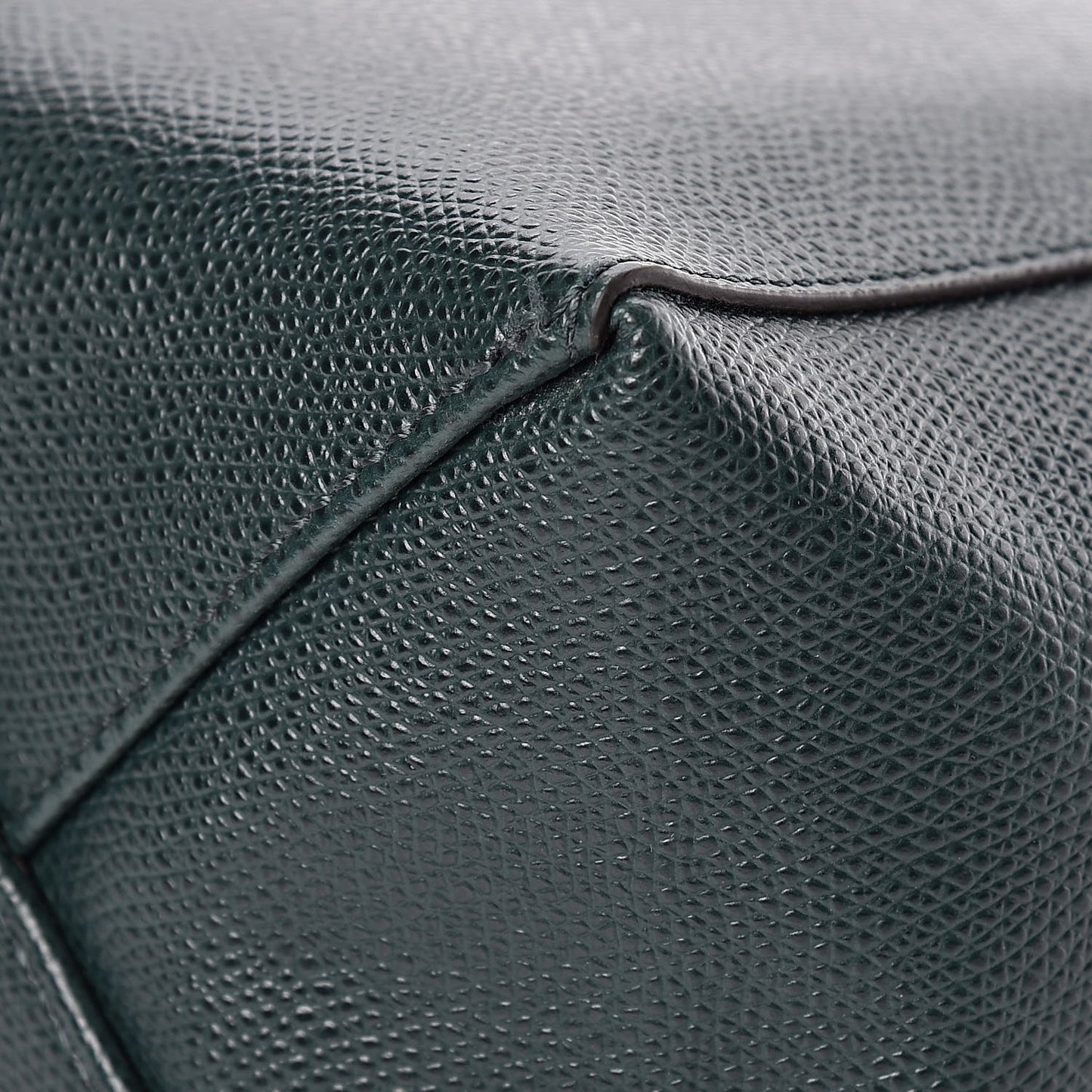 Grained Calfskin Small Vertical Cabas Amazone