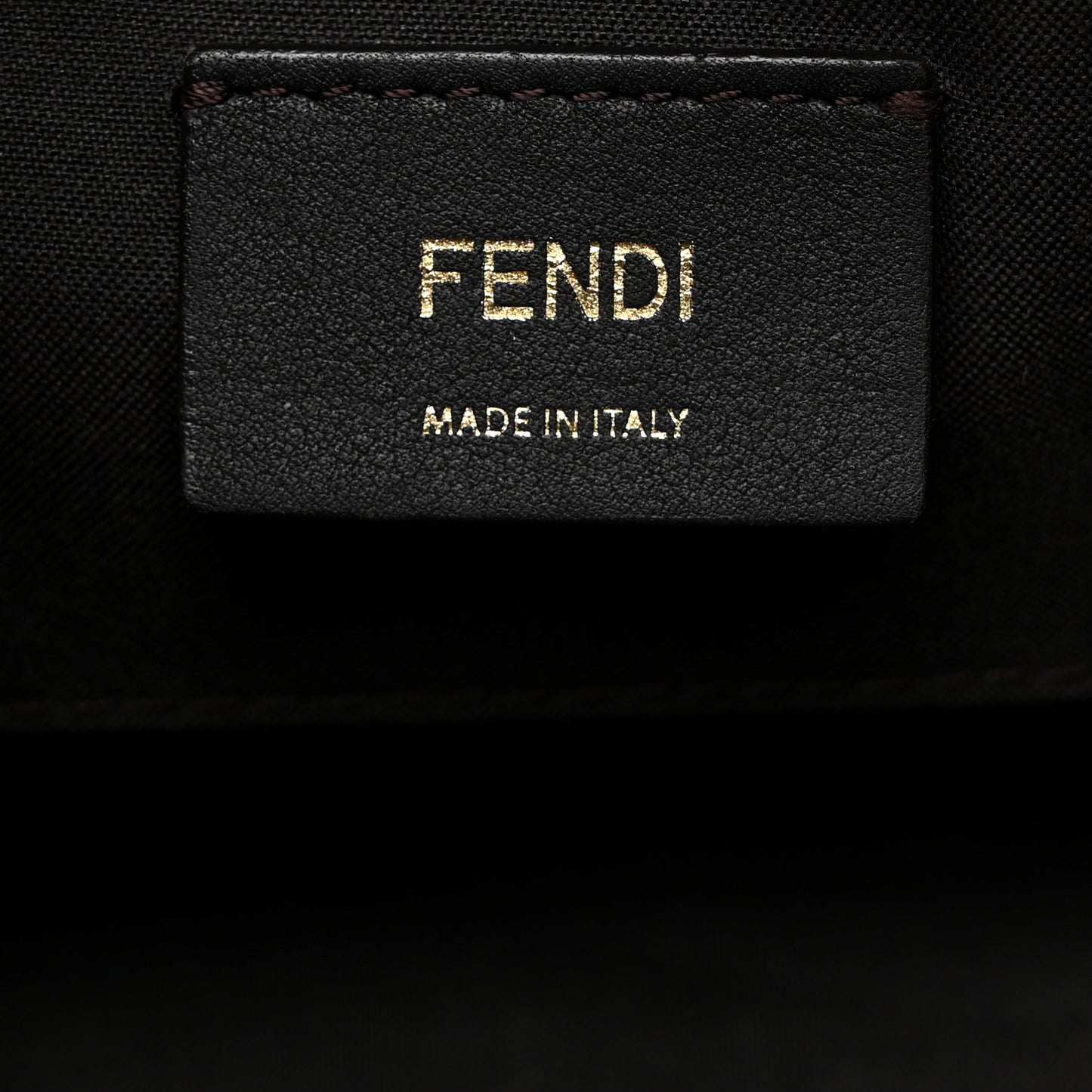 Glazed Fabric Vitello Century F is Fendi FF 1974 Stamp Patch Camera Case Mogano Panna Iris