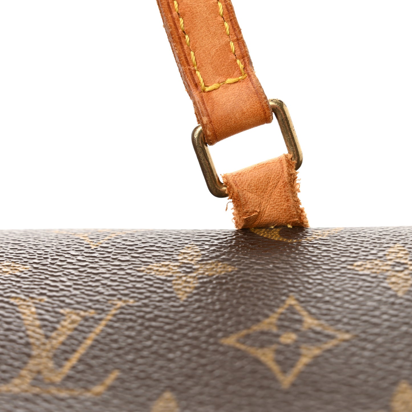 Monogram Papillon 30 with Companion