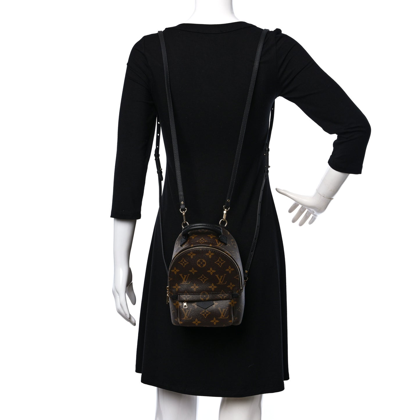 Monogram Palm Springs Backpack Mini