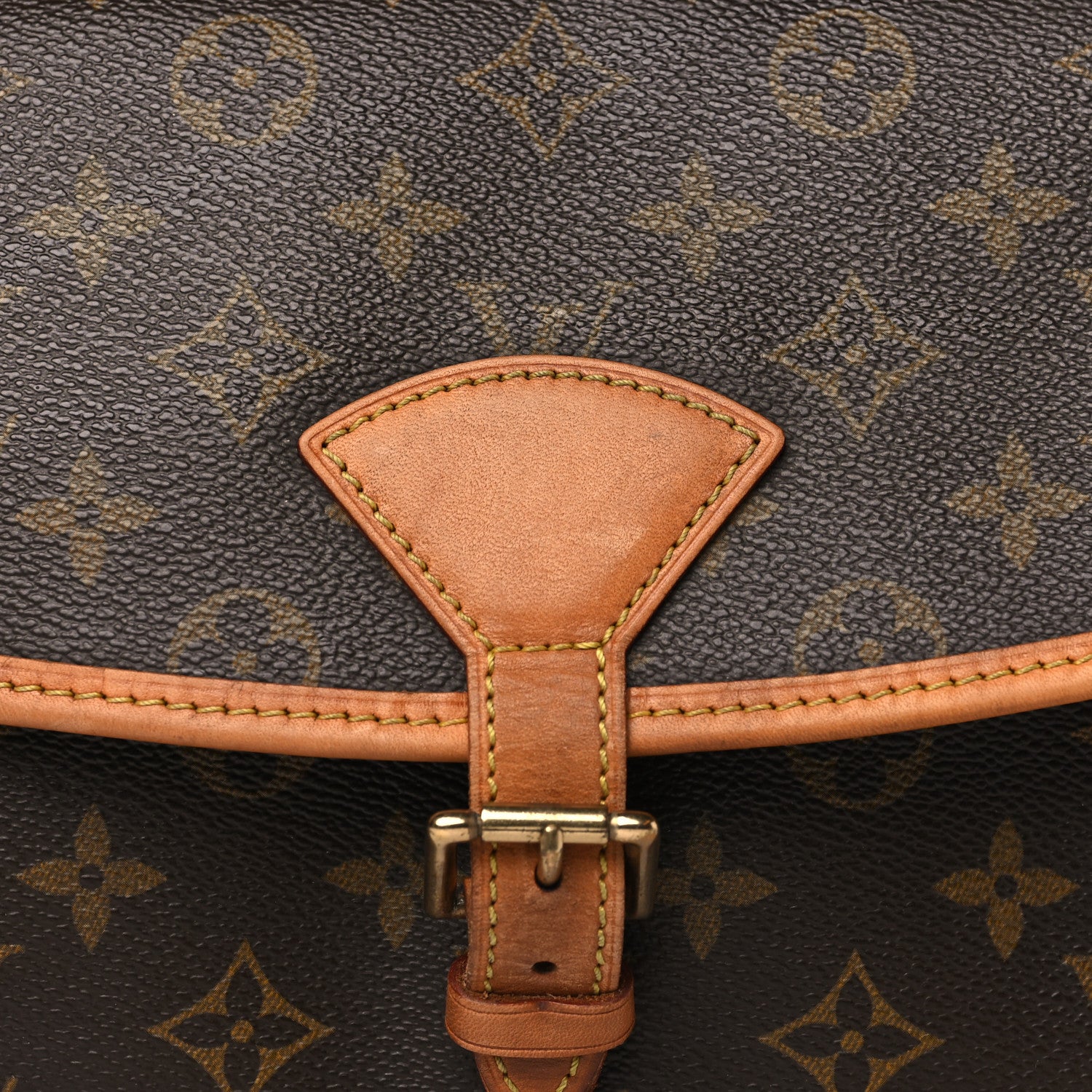 Louis Vuitton Monogram Sologne 7 of 11