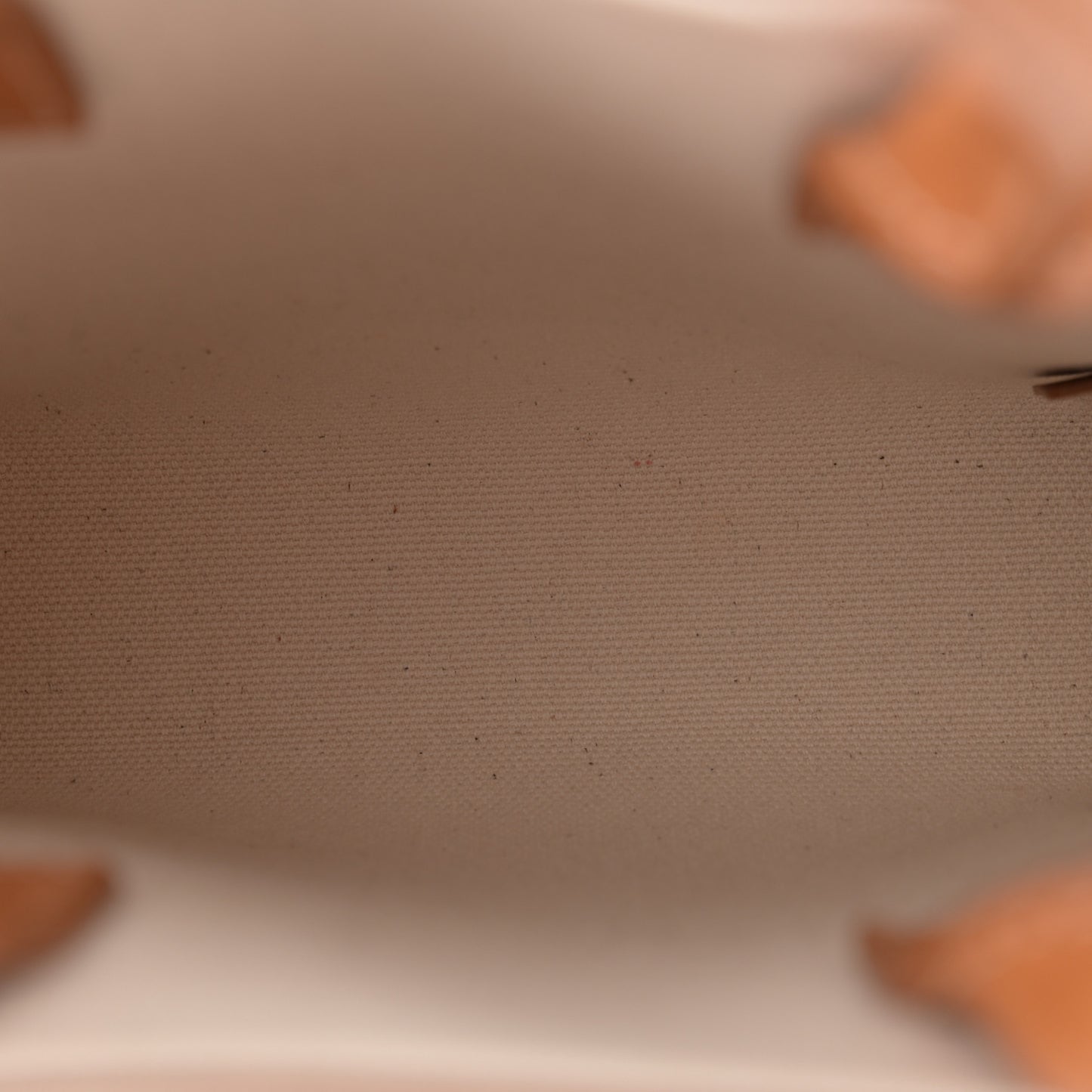 Canvas Calfskin Mini Vertical Cabas Natural Tan