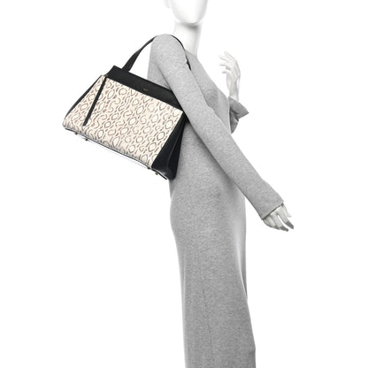 Celine Snakeskin Medium Edge Shoulder Bag Natural Black 2 of 12