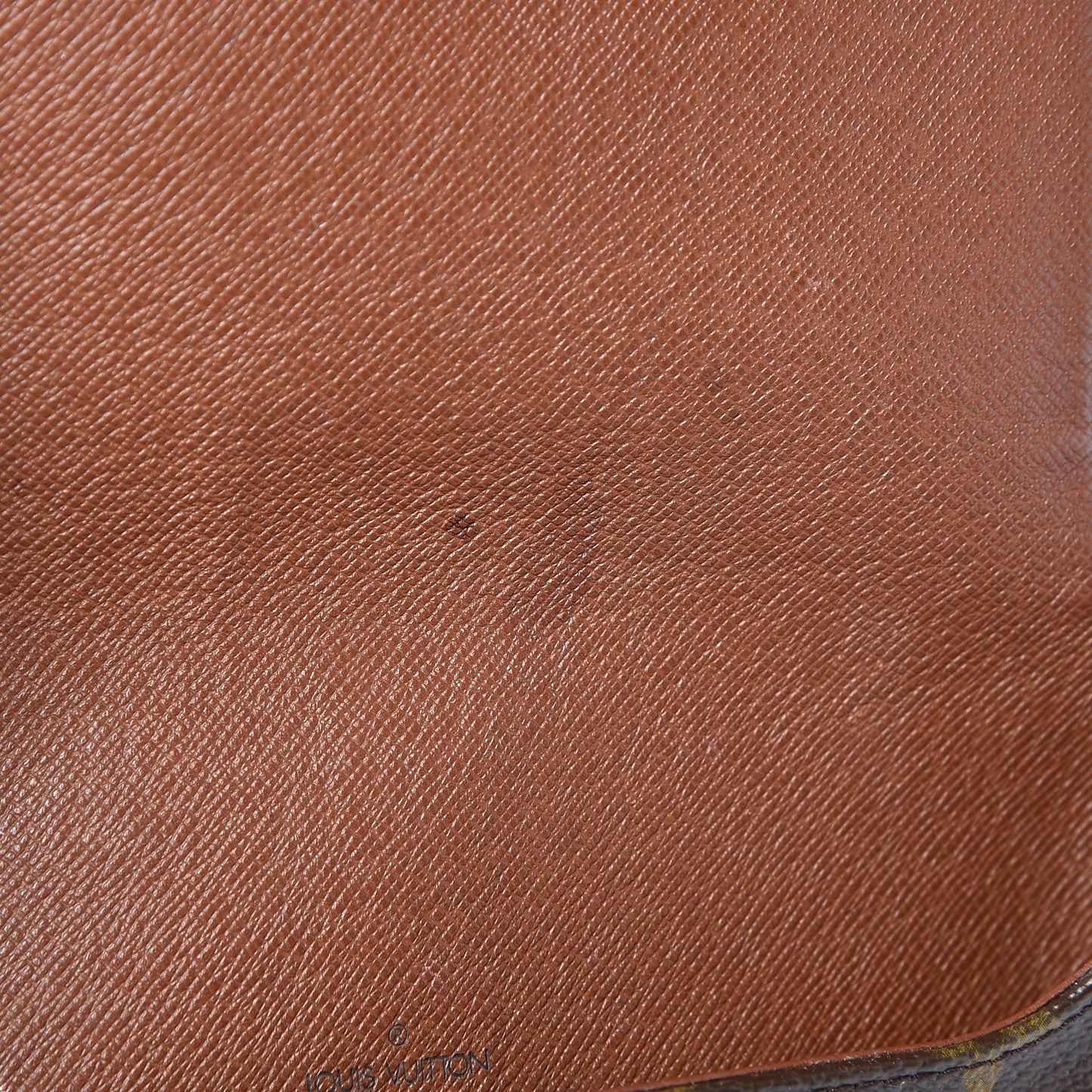 Monogram Musette Salsa