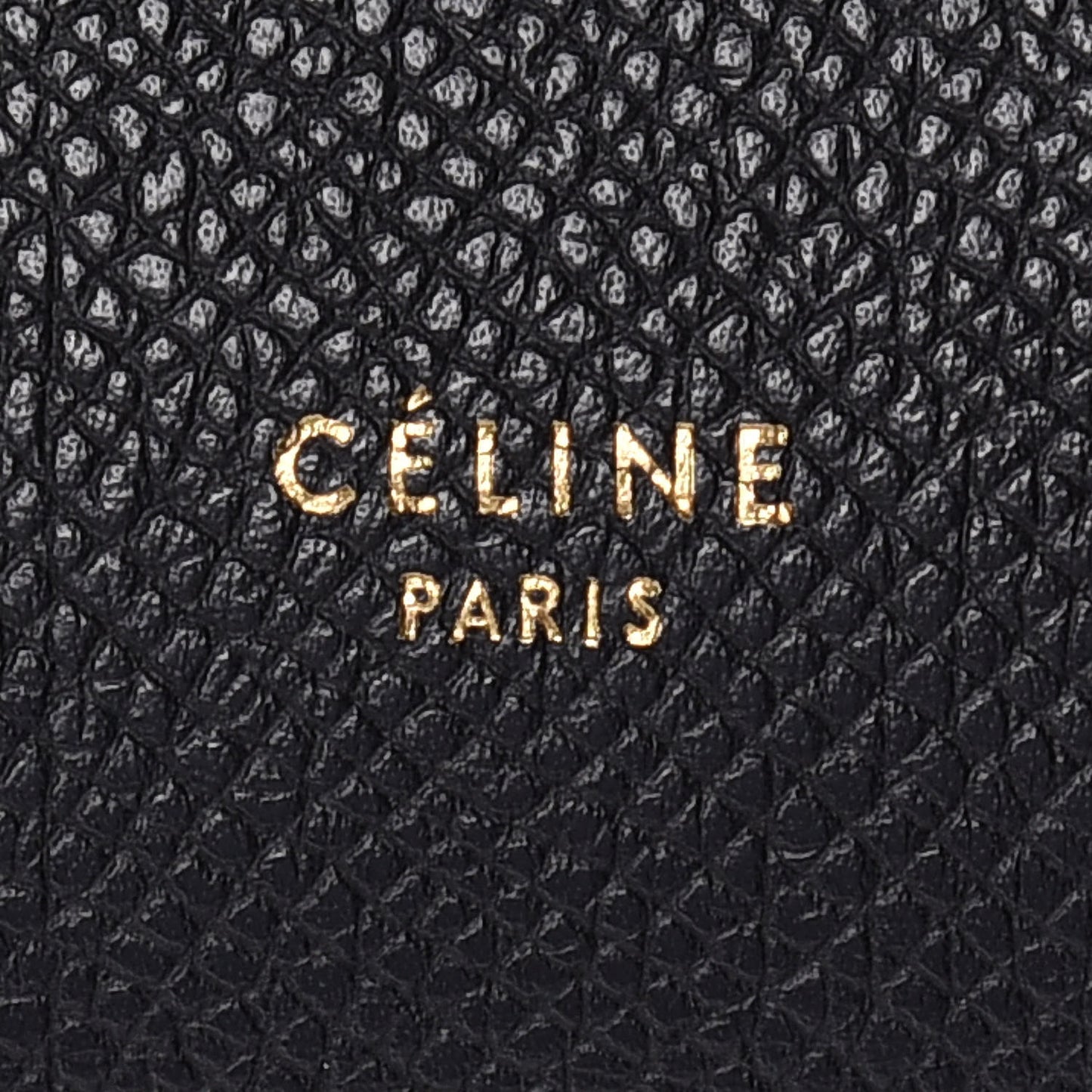 Grained Calfskin Mini Belt Bag Black