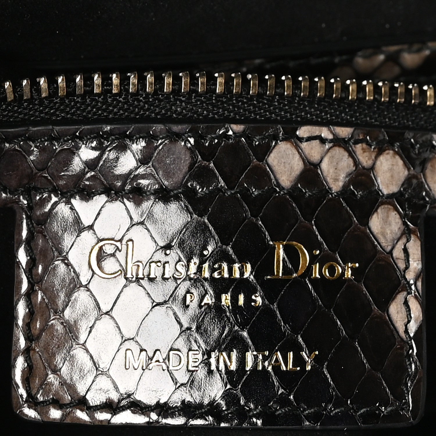 Christian Dior Snakeskin Saddle Bag Brown 6 of 11