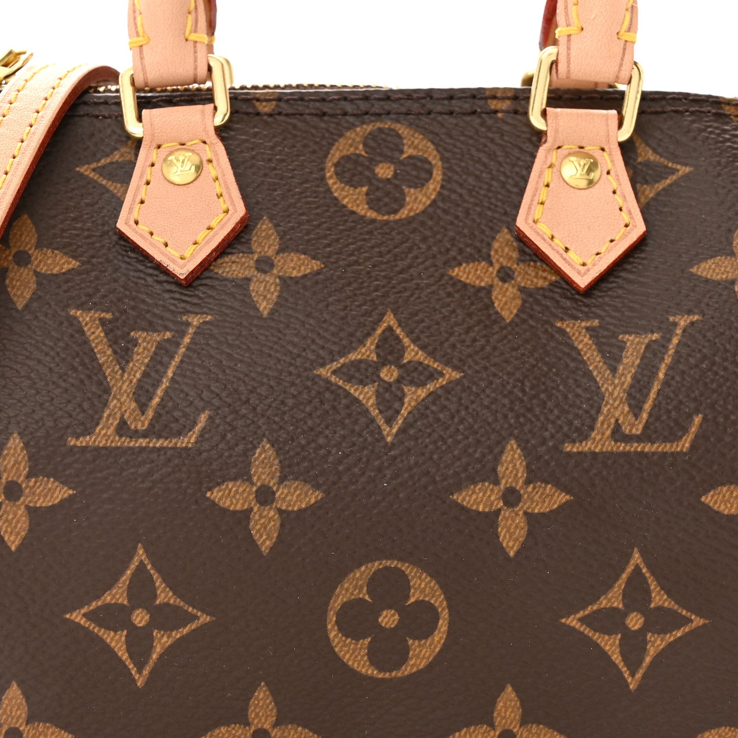 Monogram Nano Speedy