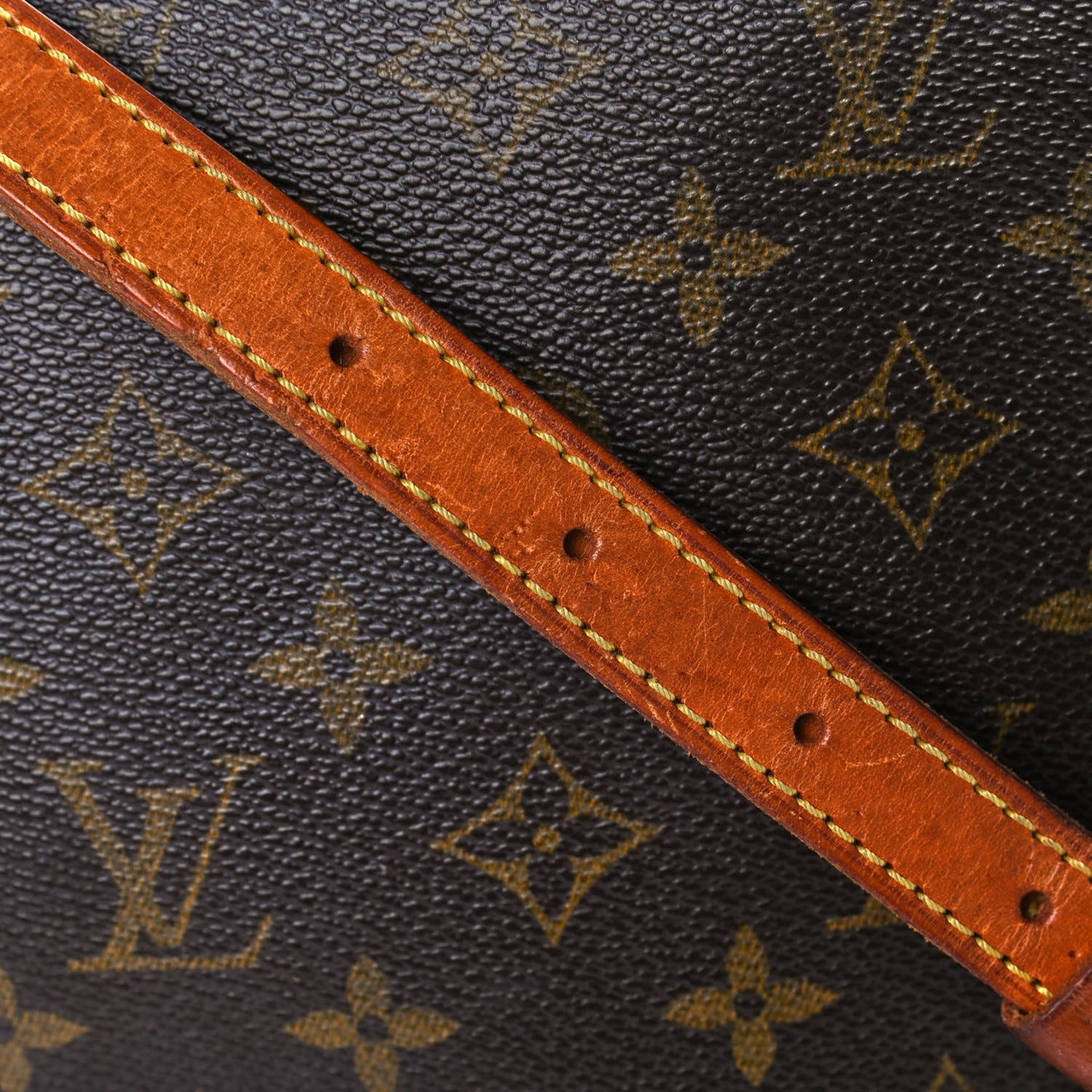 Monogram Musette Salsa
