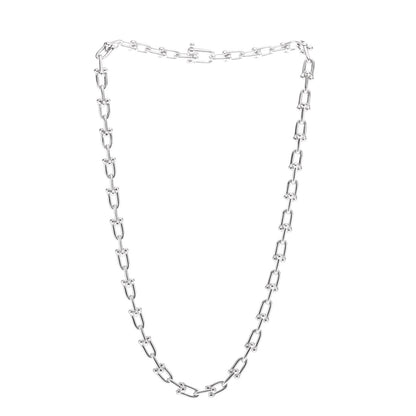 Tiffany Sterling Silver Medium HardWear Link Necklace 3 of 4