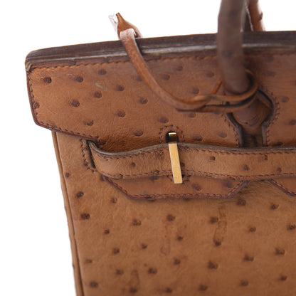 Hermes Ostrich Birkin 30 Gold 17 of 28