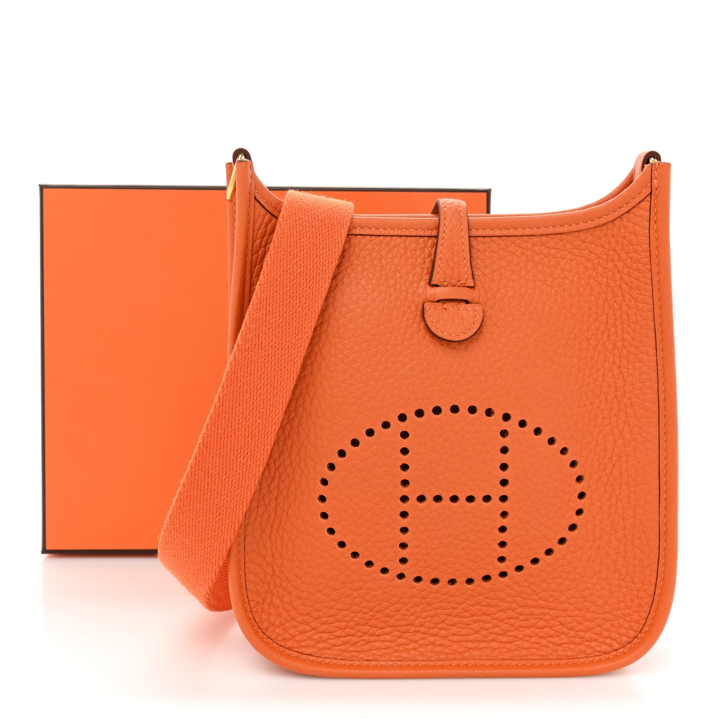 Taurillon Clemence Evelyne TPM Orange