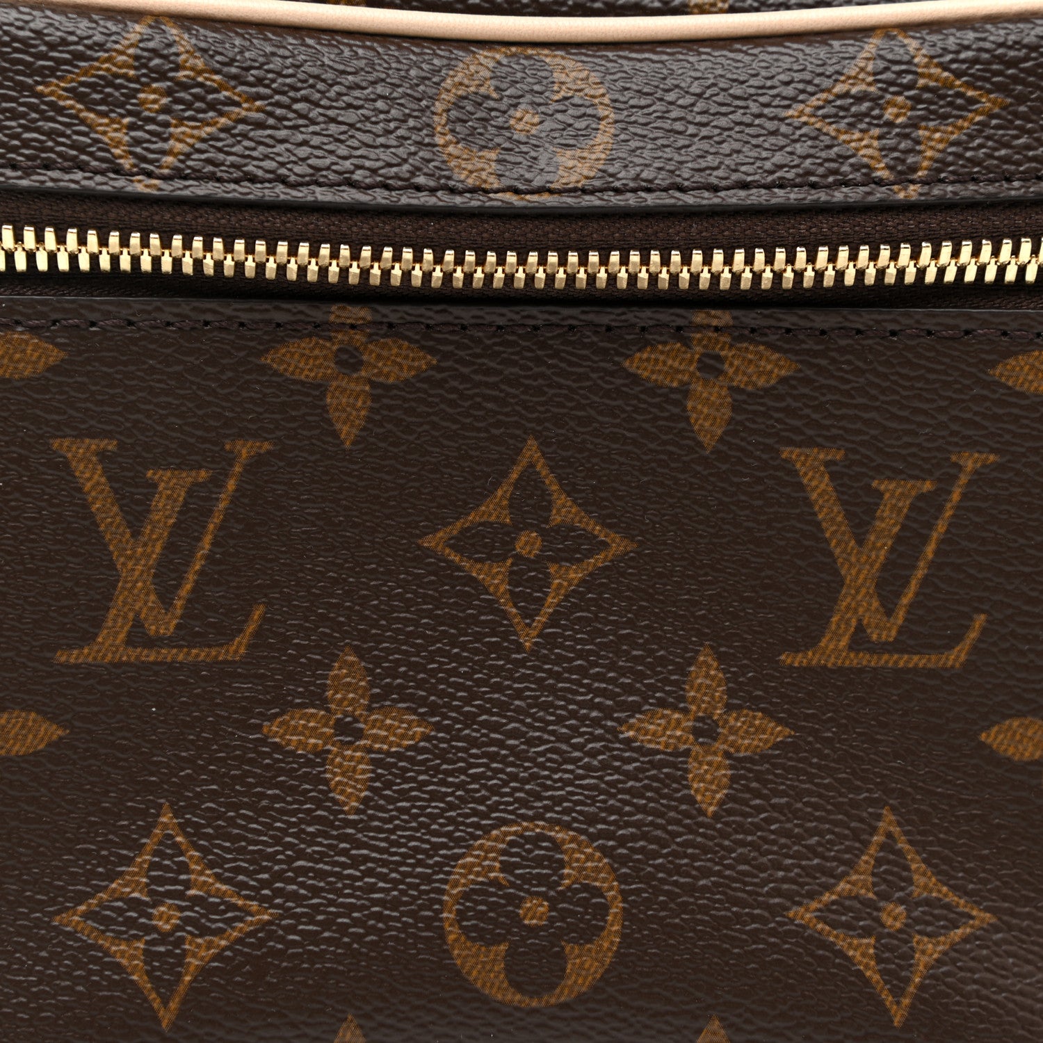 Louis Vuitton Monogram Nice Mini 7 of 11