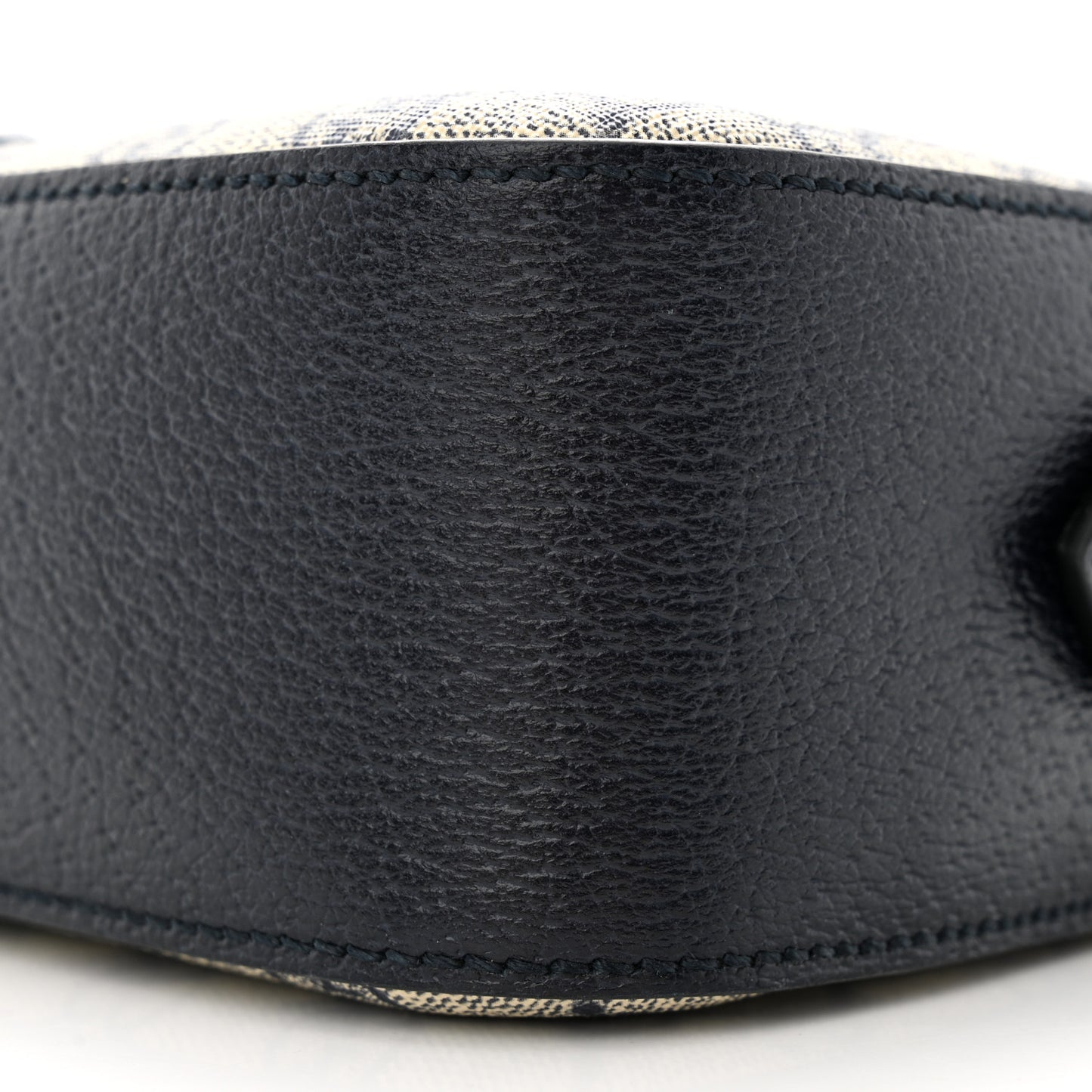GG Supreme Monogram Textured Dollar Calfskin Web Small Ophidia Camera Bag Beige Blue