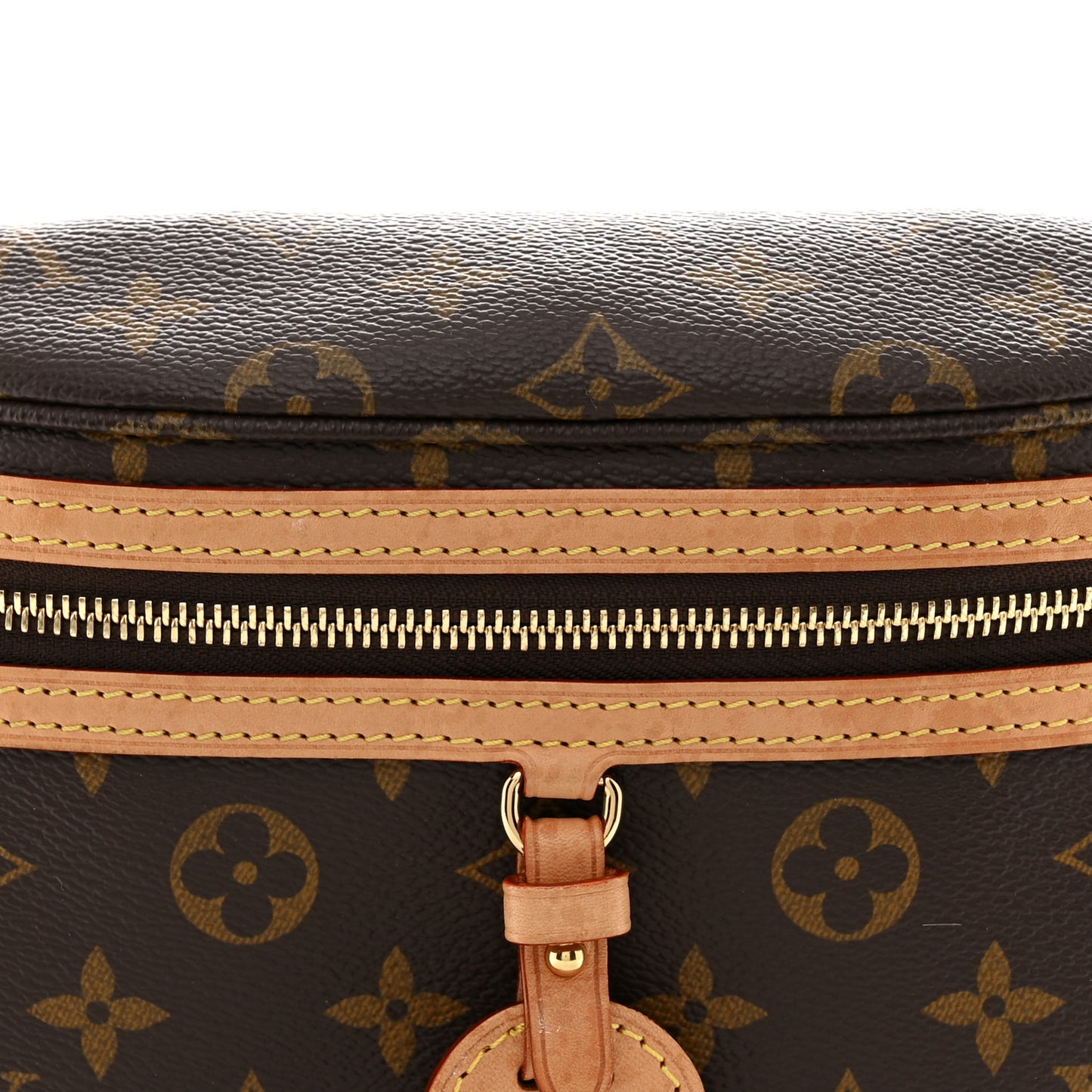 Monogram High Rise Bumbag