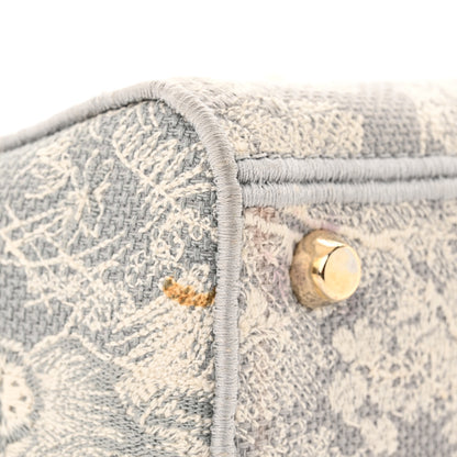 Christian Dior Canvas Toile De Jouy Reverse Embroidered Medium Lady D-Lite Gray 11 of 12