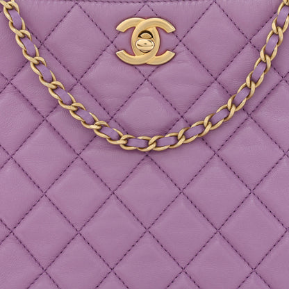 Chanel Lambskin Quilted Small Pearl Crush Hobo Purple 8 of 11