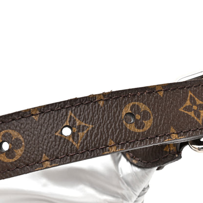 Louis Vuitton Econyl Monogram Pillow BumBag Silver 10 of 10