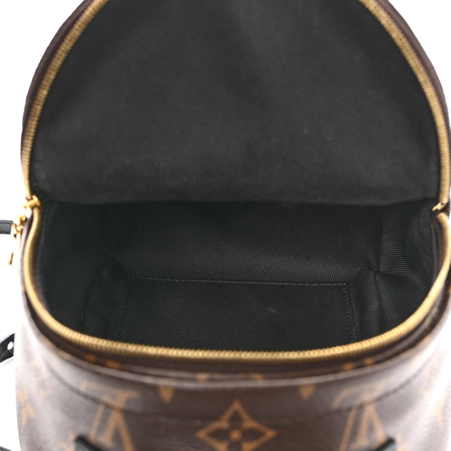 Monogram Palm Springs Backpack Mini