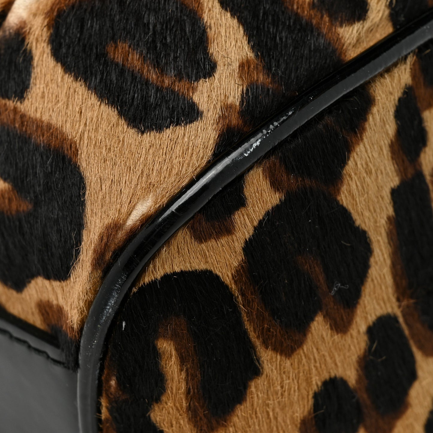 Monogram Leopard Stephen Bag