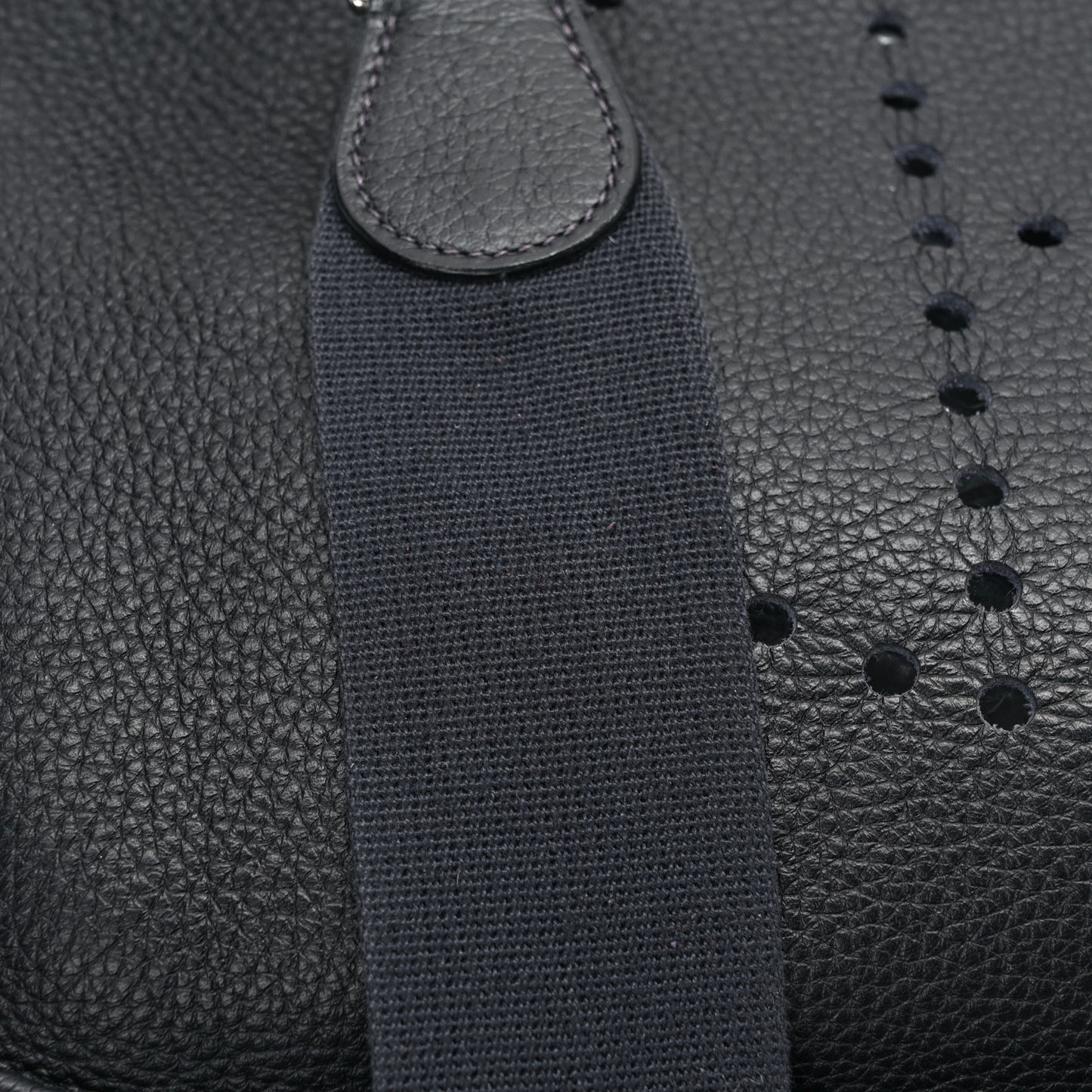 Taurillon Clemence Evelyne III TGM Black