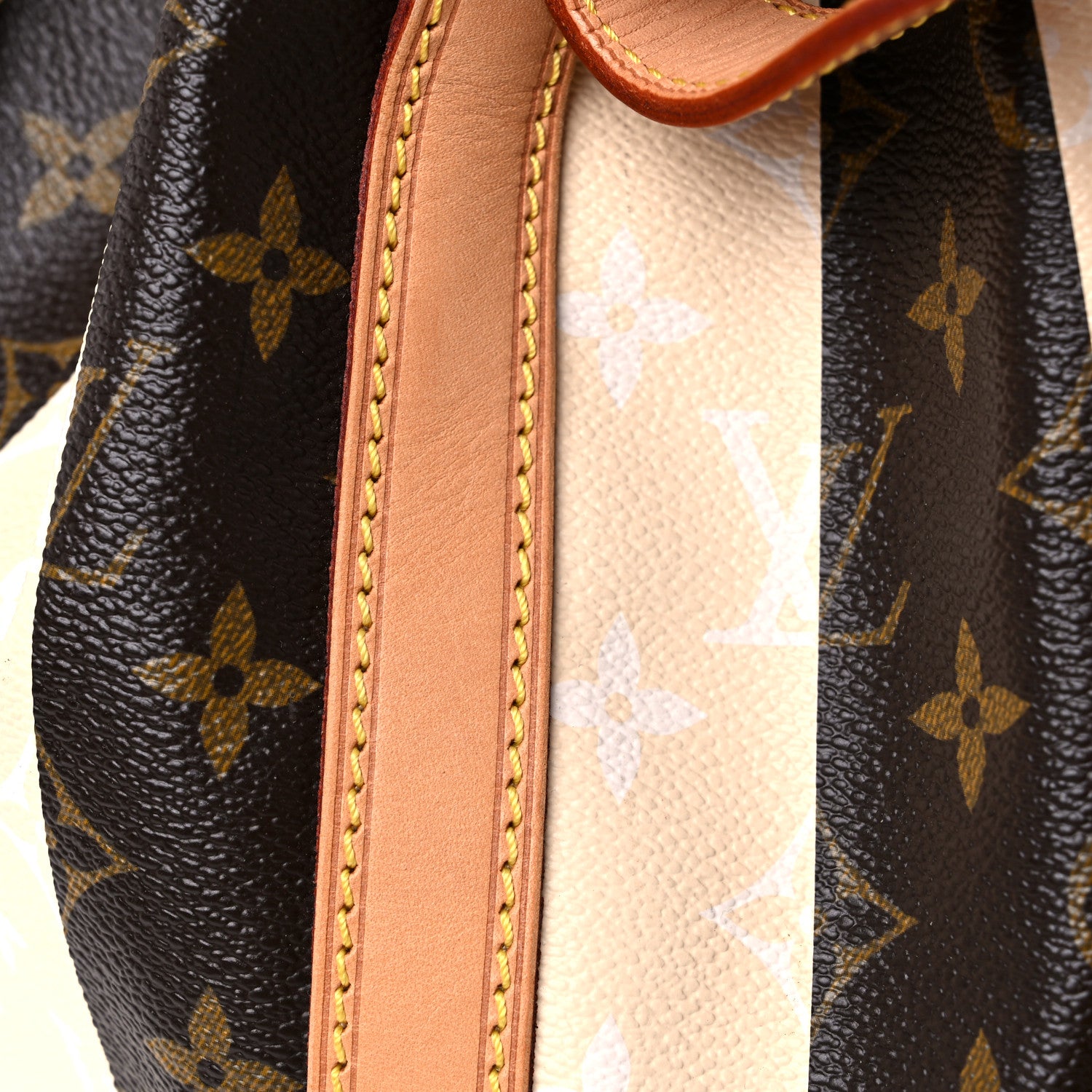 Louis Vuitton Monogram Rayures Petit Noe 25 of 28