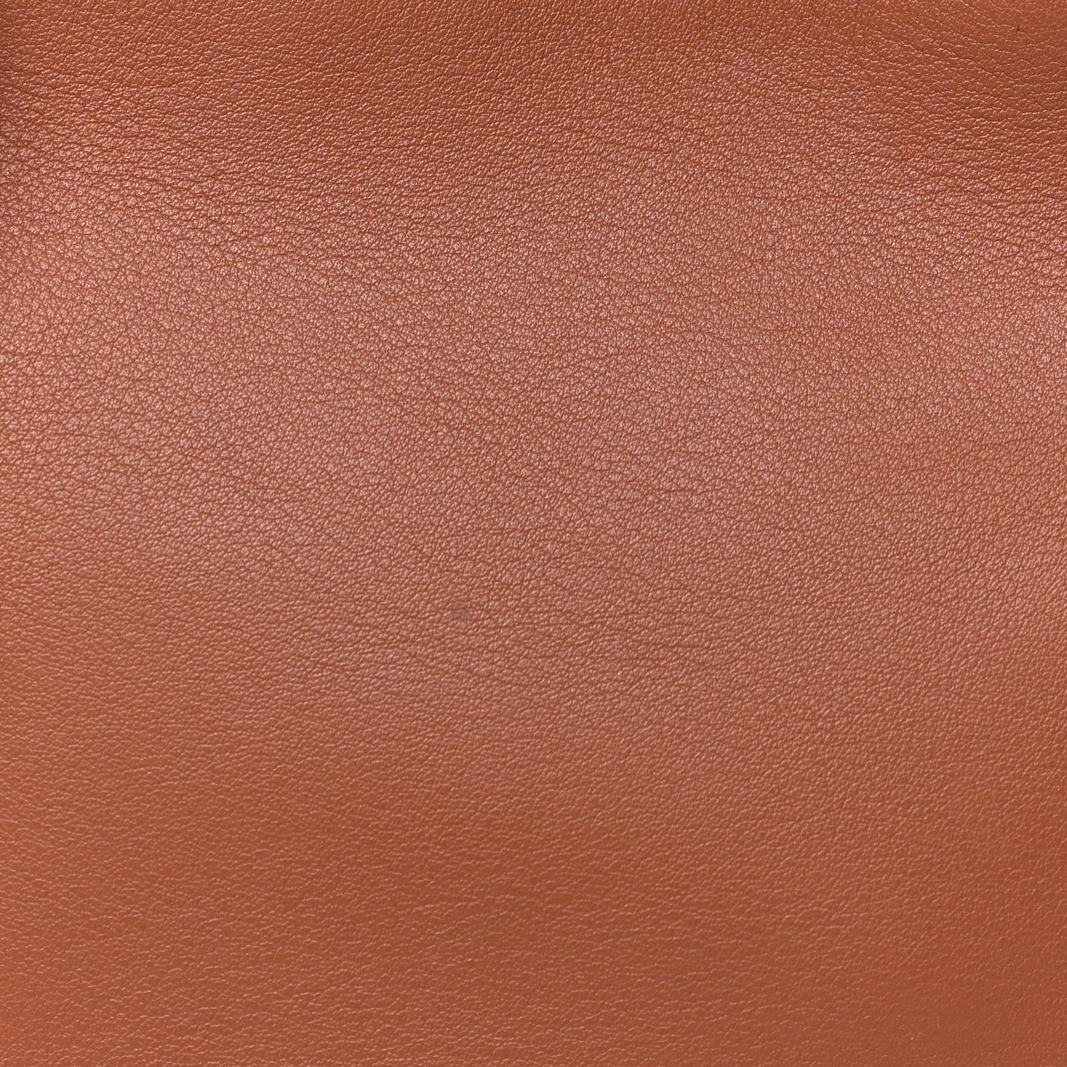 Loewe Calfskin Mini Hammock Hobo Tan 8 of 10