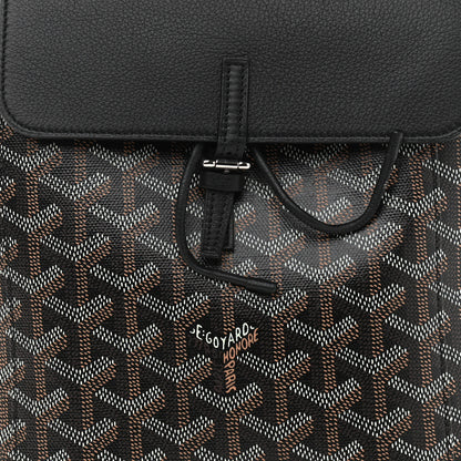 Goyard Goyardine Calfskin Mini Alpin Backpack Black 6 of 8
