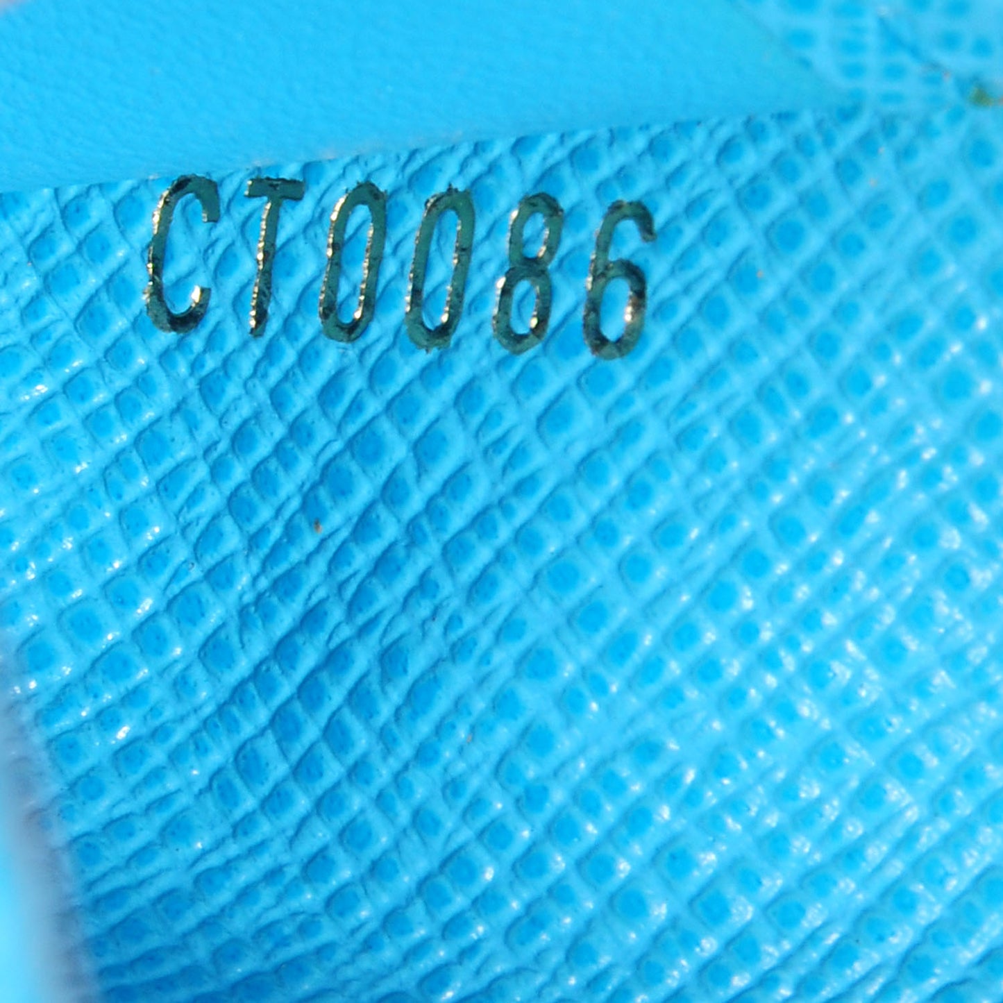 Monogram Groom Compact Zip Wallet Blue