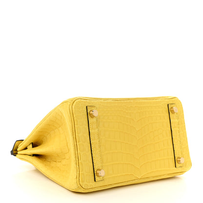 Hermes Matte Niloticus Crocodile Birkin 25 Mimosa 3 of 10