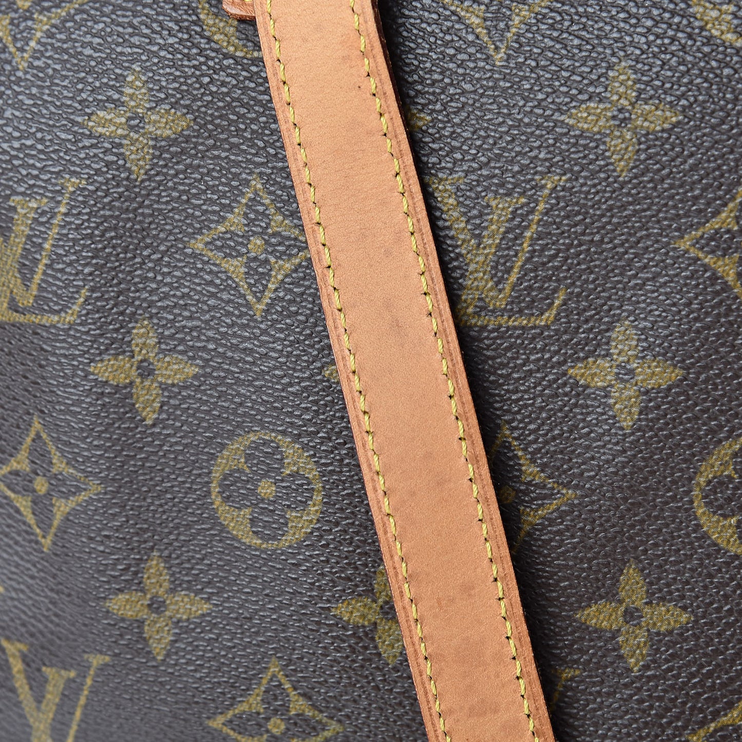 Monogram Cabas Mezzo