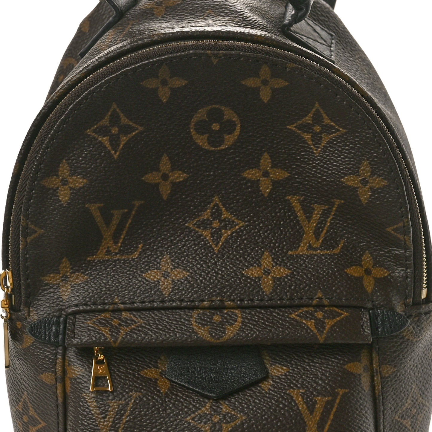 Monogram Palm Springs Backpack Mini